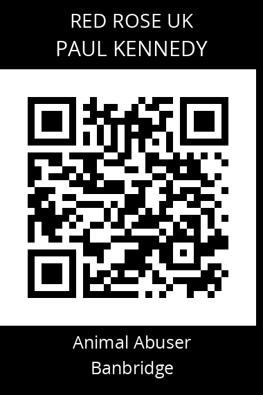 QR code for paul-kennedy-2