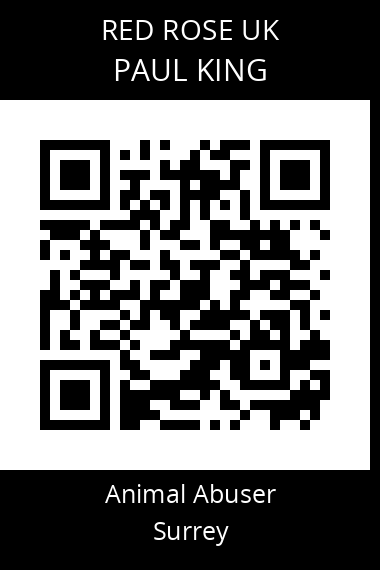 QR code for paul-king-5