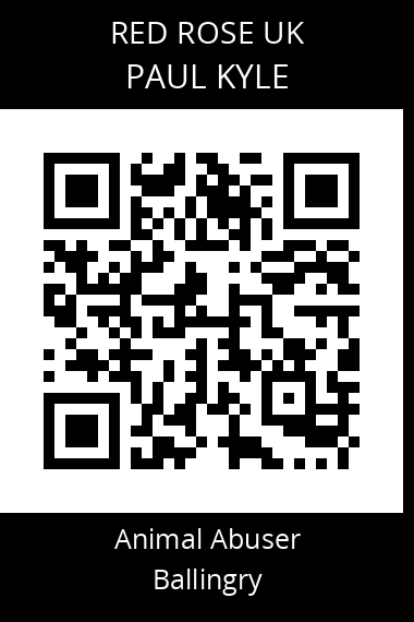 QR code for paul-kyle-1