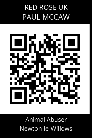 QR code for paul-mccaw