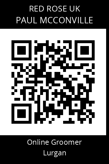 QR code for paul-mcconville
