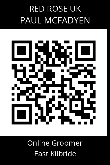 QR code for paul-mcfadyen-1