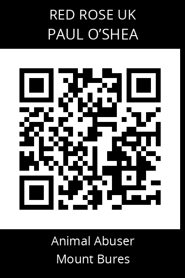 QR code for paul-oshea