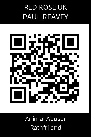 QR code for paul-reavey