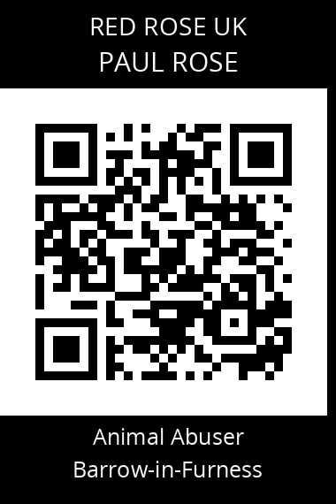 QR code for paul-rose-2
