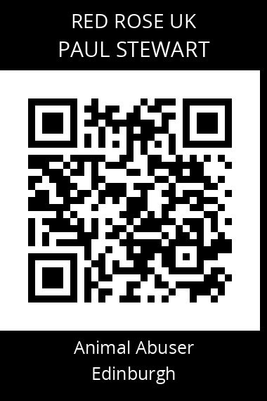 QR code for paul-stewart-5