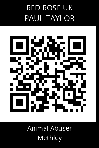 QR code for paul-taylor-9