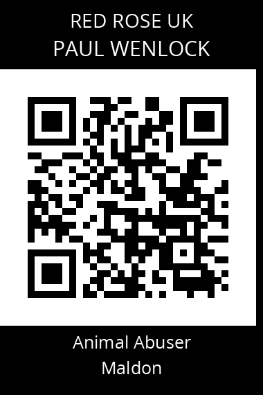 QR code for paul-wenlock