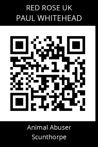 QR code for paul-whitehead