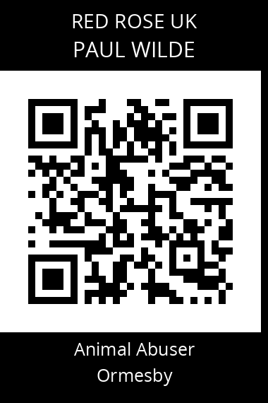 QR code for paul-wilde