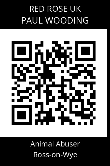 QR code for paul-wooding