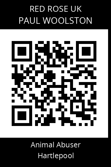 QR code for paul-woolston-1