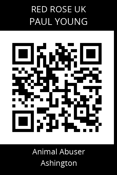 QR code for paul-young