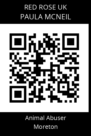 QR code for paula-mcneil