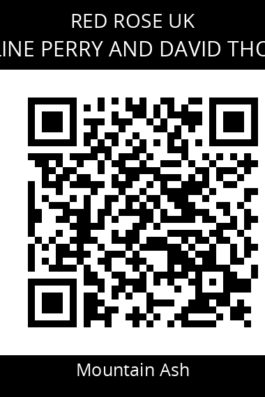 QR code for pauline-perry-and-david-thomas