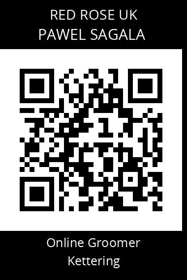 QR code for pawel-sagala