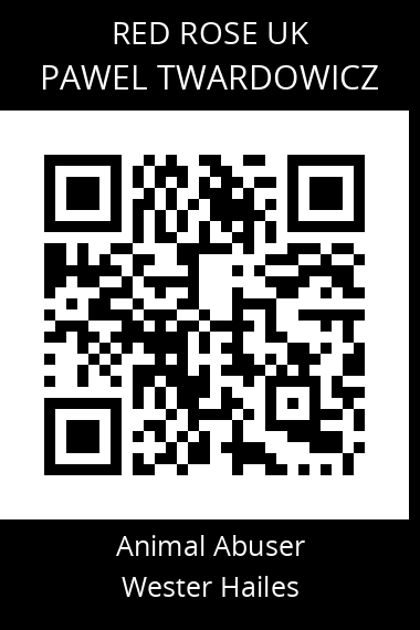 QR code for pawel-twardowicz