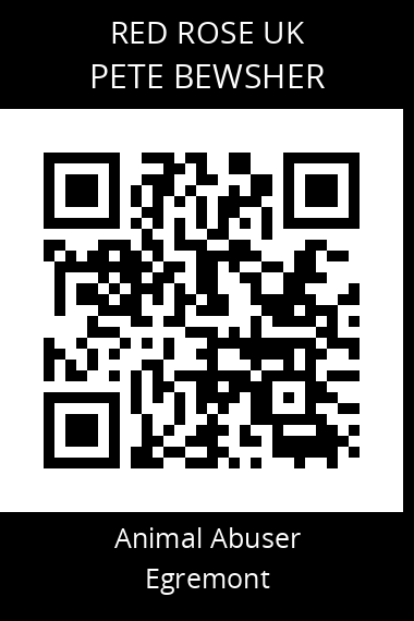 QR code for pete-bewsher