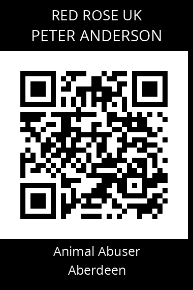 QR code for peter-anderson-6