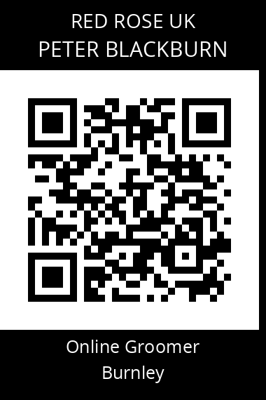 QR code for peter-blackburn-2