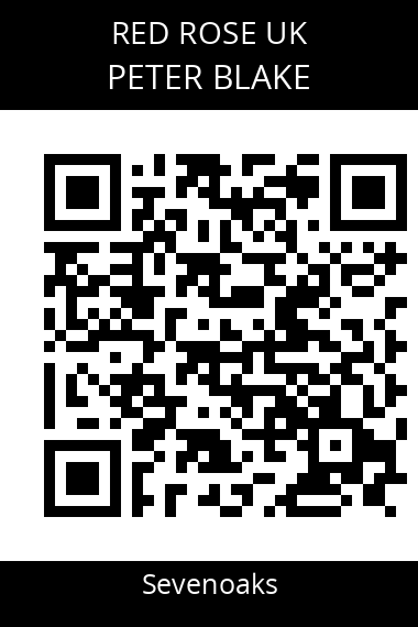 QR code for peter-blake-bjdrx5