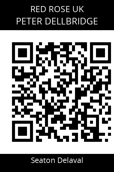 QR code for peter-dellbridge-2