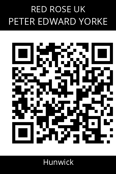 QR code for peter-edward-yorke