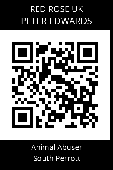 QR code for peter-edwards-2