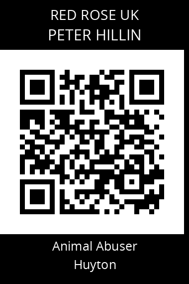QR code for peter-hillin