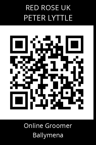 QR code for peter-lyttle