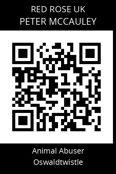 QR code for peter-mccauley