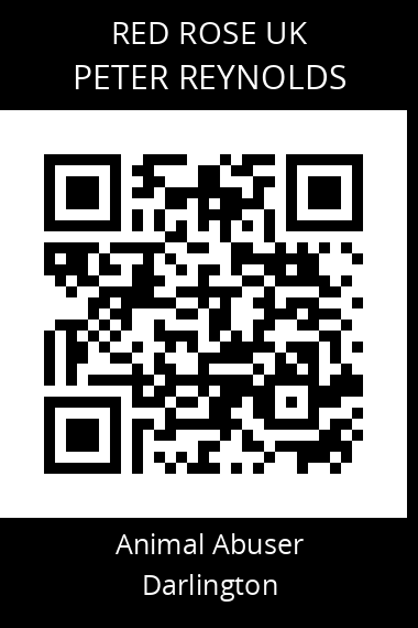 QR code for peter-reynolds-1