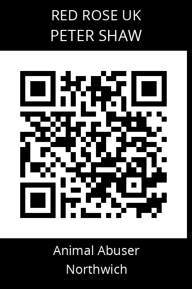 QR code for peter-shaw