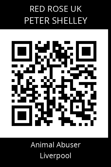QR code for peter-shelley