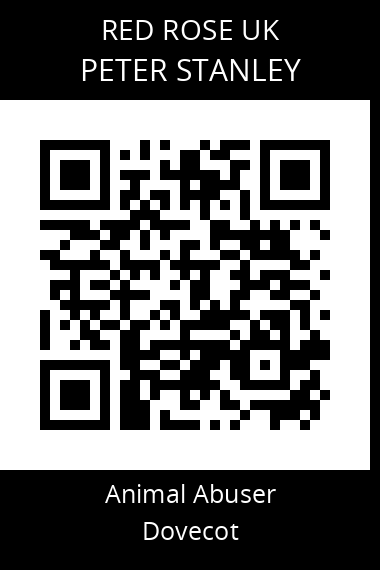 QR code for peter-stanley