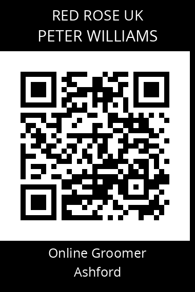 QR code for peter-williams-11