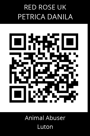 QR code for petrica-danila