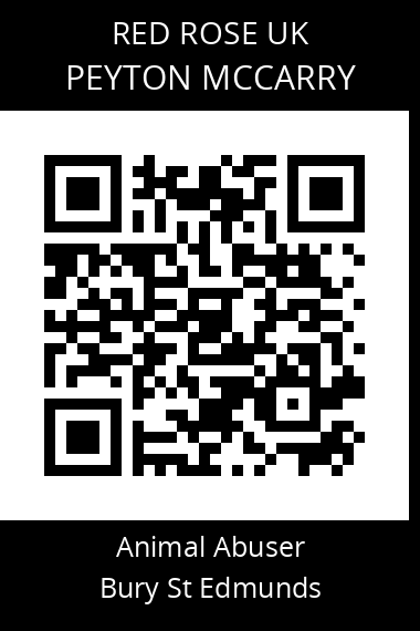 QR code for peyton-mccarry