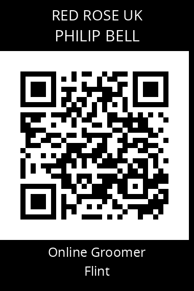 QR code for philip-bell