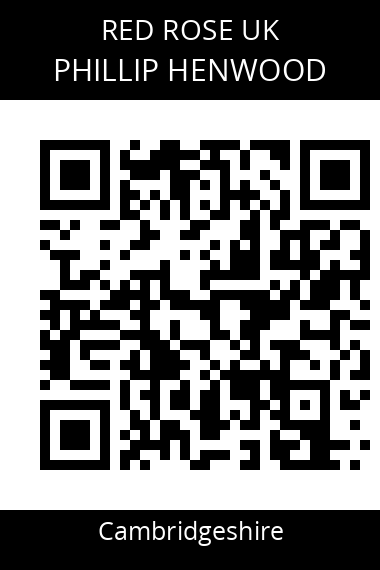 QR code for phillip-henwood-kt6oz6