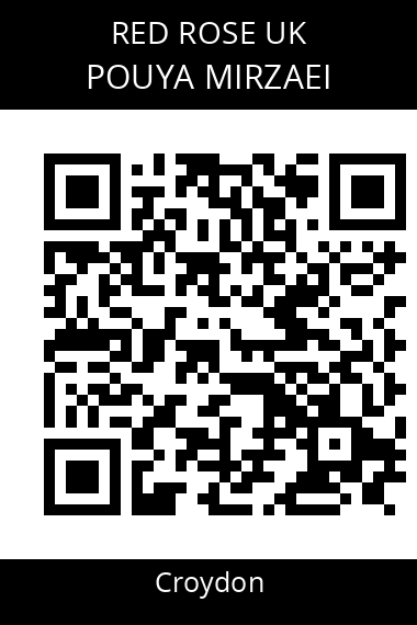 QR code for pouya-mirzaei-tc0wy8