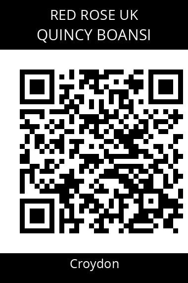 QR code for quincy-boansi-piwd6i
