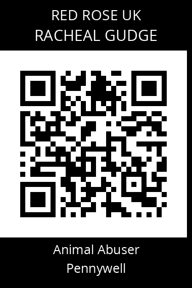 QR code for racheal-gudge