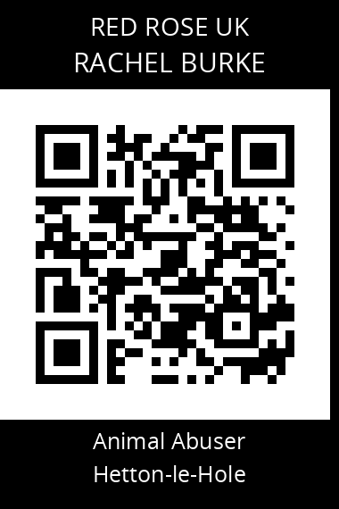 QR code for rachel-burke