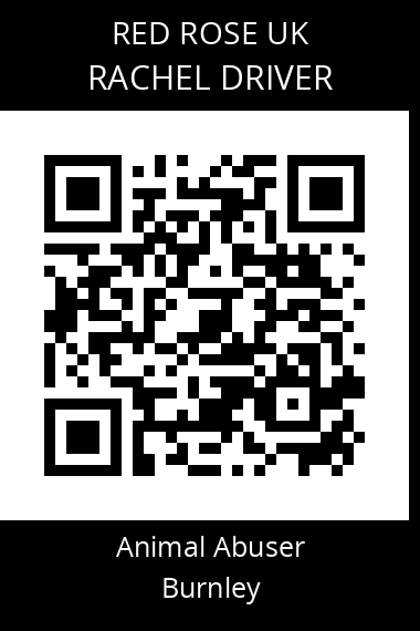 QR code for rachel-driver