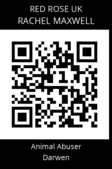 QR code for rachel-maxwell