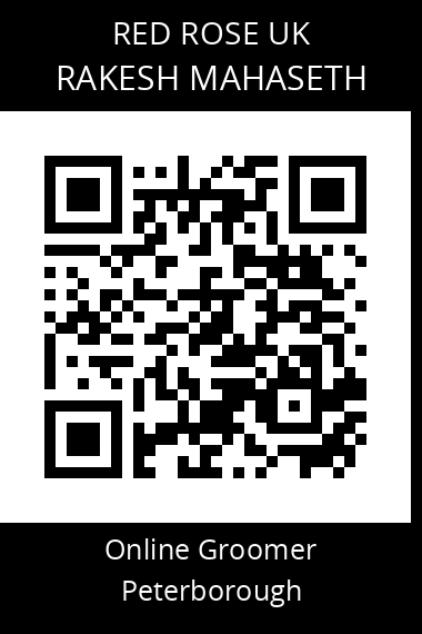 QR code for rakesh-mahaseth
