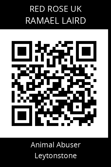 QR code for ramael-laird