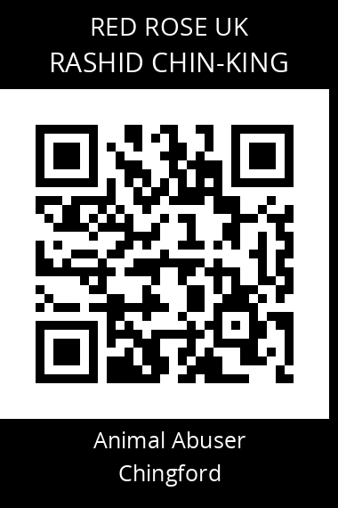 QR code for rashid-chin-king