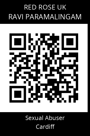 QR code for ravi-paramalingam